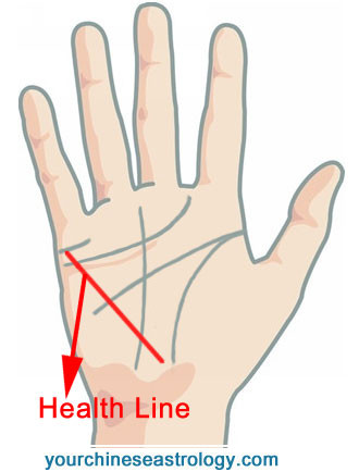 Palm Reading - Health Line