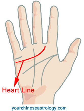 Palm Reading - Heart Line